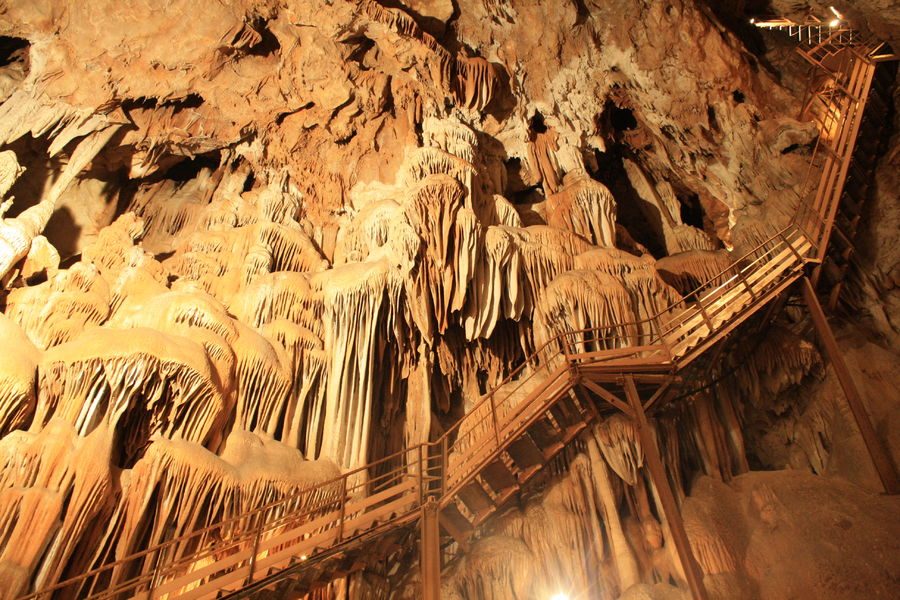 Aven Marzal : Grotte et Zoo Préhistorique