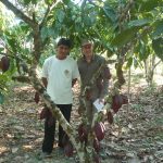 © Nos cultivateurs de cacao bio - Chocolaterie Morin