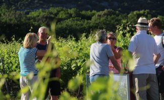 Pique-nique chez le vigneron indépendant : Clos de l'Abbé Dubois
