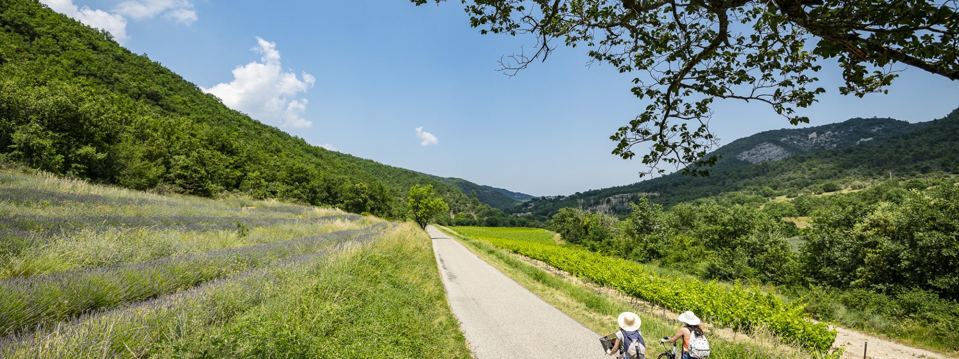 Boucle cyclable Saint-Montan : Vignes et vallons