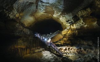 La Balade des Lucioles à la Grotte Saint-Marcel
