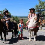 © Balade à pied avec ânes provençaux ou poneys mini cheval américain - Christelle Rigaud