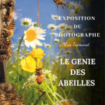 © Affiche de l'exposition "LE GENIE DES ABEILLES" aux Ruchers de l'Ibie - Elodie Leullier