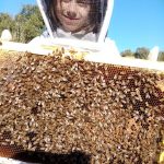 © Baptême d'apiculture aux Ruchers de l'Ibie - Elodie Leullier