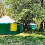 © Tentes amenagées camping du lion - patricia