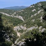 Randonnées pédestres avec Ardèche Balades