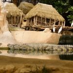 © Crocodiles du Nil - La Ferme aux Crocodiles