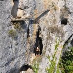 © Grotte Ardèche - Adventure Camp