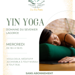 © Affiche cours Yin Yoga 2024 - Julie Bernard