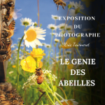 © Exposition "Le Génie des Abeilles" - La Ferme des Abeilles - Elodie Leullier