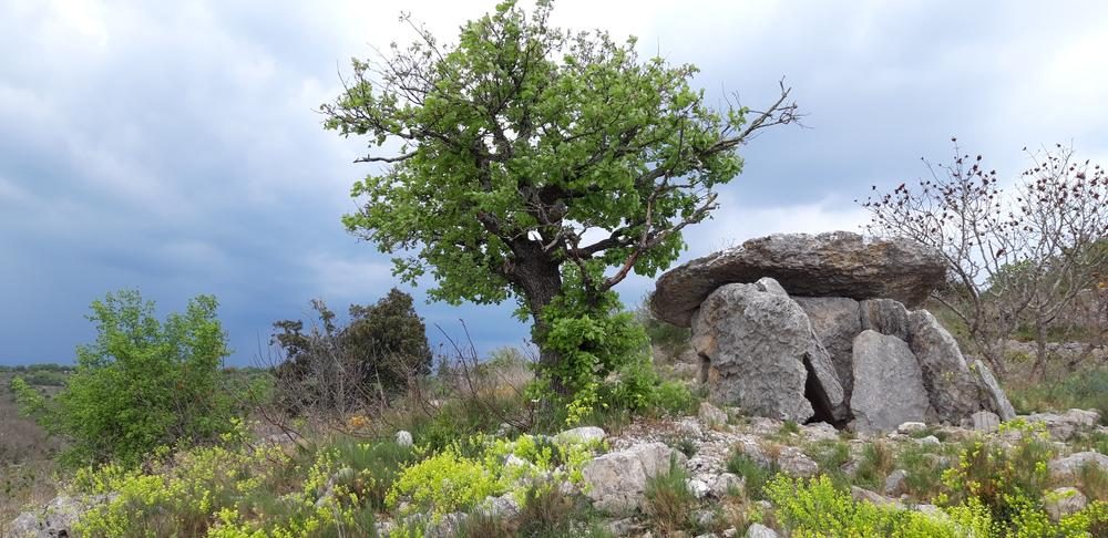 Des dolmens, des racines et des pattes, il y a histoires sous roche
