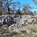© un des dolmens de la nécropole des Granges - Ardèche, terre de dolmens