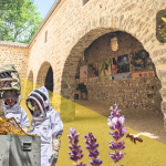 © Visite de la Miellerie en famille - Les Ruchers de l'Ibie / La Ferme des Abeilles - Ferme des abeilles