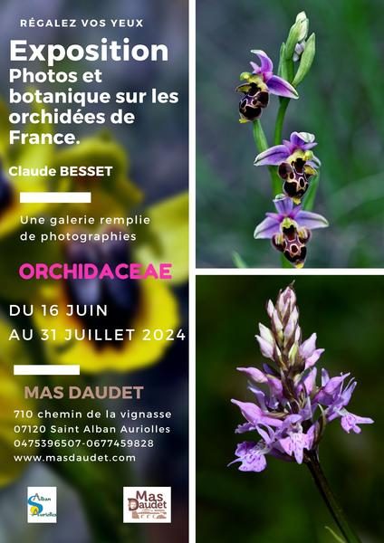 Orchidaceae, exposition photo et botanique sur les orchidées de France par Claude Besset