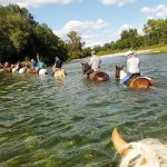 © Randonnée Équestre Accompagnée - Equitation Chavetourte - Talagrand