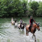© Randonnée Équestre Accompagnée - Equitation Chavetourte - Talagrand