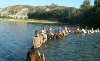 Ferme Equestre - Equitation Chavetourte