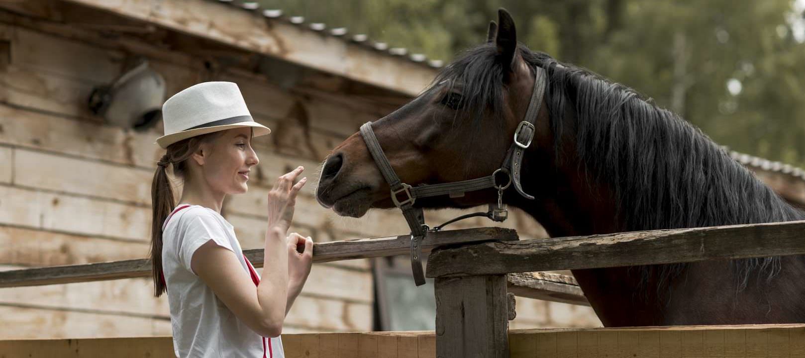 Equitation Ardèche