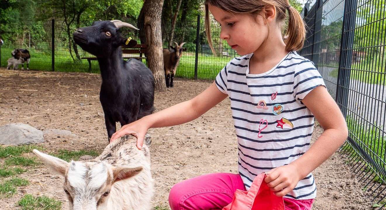 Parcs animaliers Ardèche ©Marina Geray