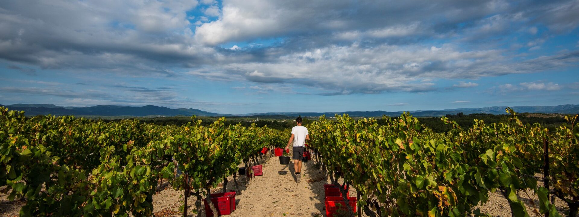 Domaine de la Selve - Grospierres, le 25 septembre 2018.