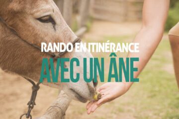Randonner en itinérance avec un âne Micro-aventure en Ardèche