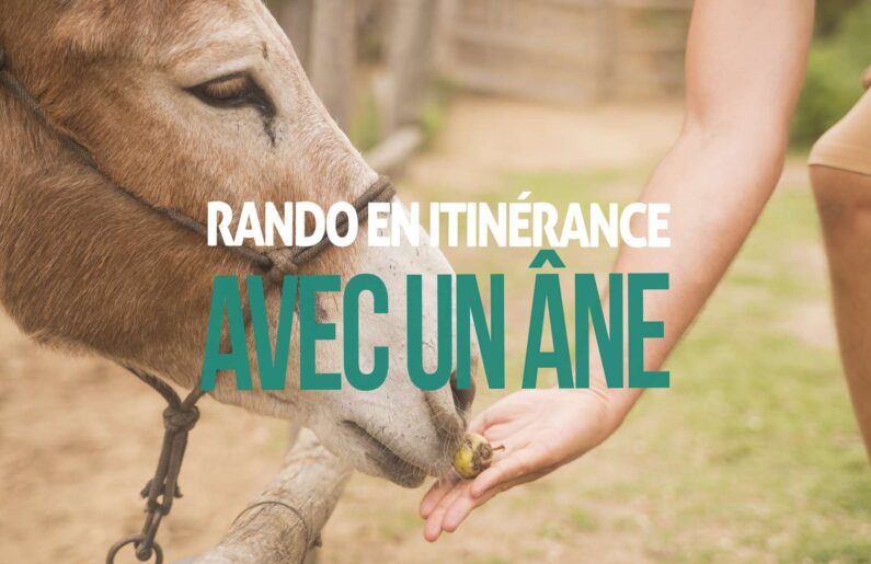Randonner en itinérance avec un âne Micro-aventure en Ardèche